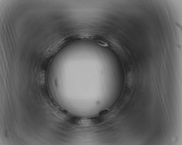 X0000103330413200809121214