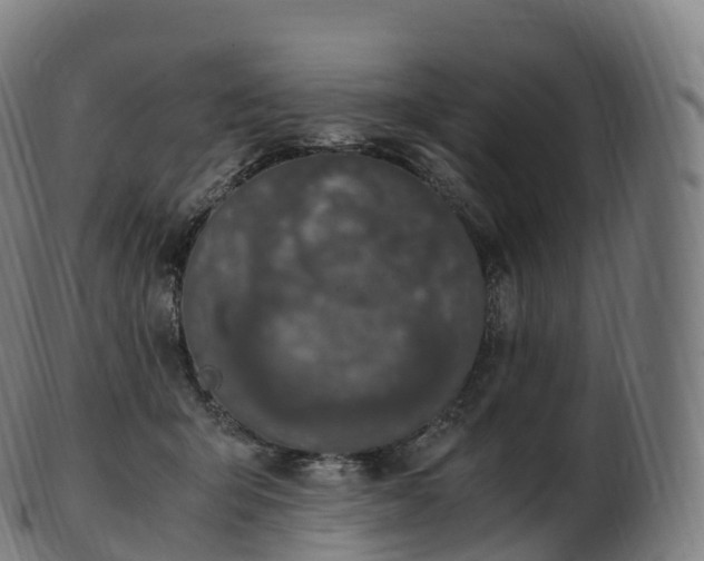 X0000103330415200809121214