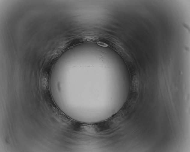 X0000103330417200809121214