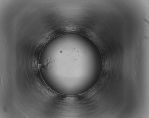 X0000103330418200809121214