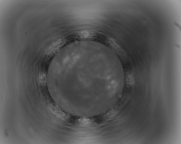 X0000103330419200809121214