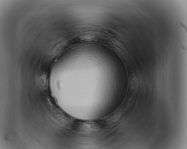 X0000103330420200809121214