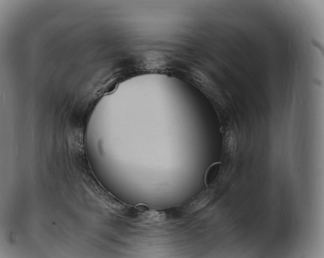 X0000103330421200809121214