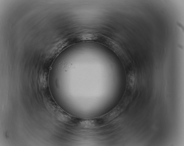 X0000103330422200809121214