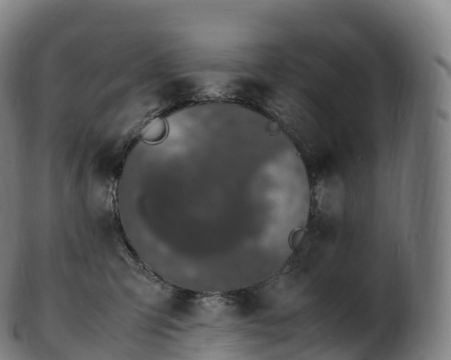 X0000103330423200809121214