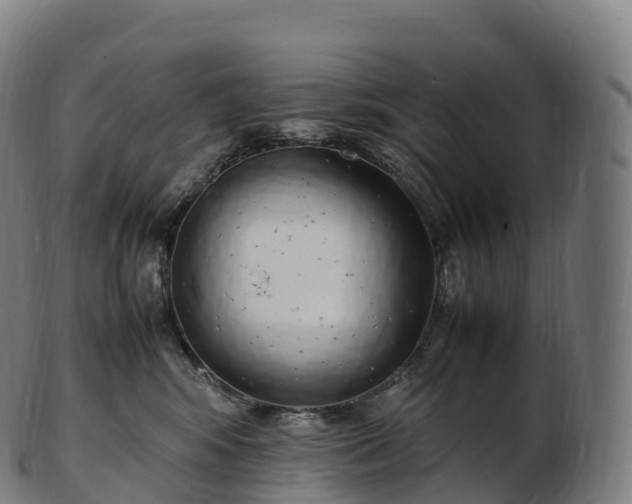 X0000103330424200809121214