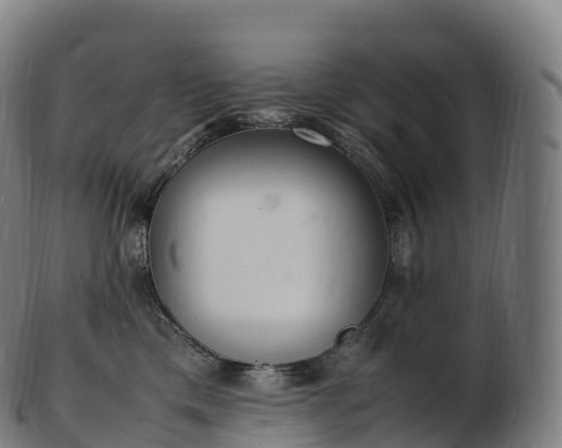 X0000103330425200809121214