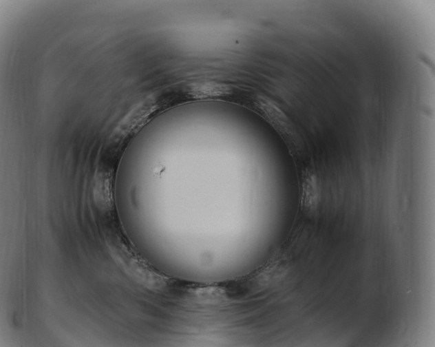 X0000103330426200809121214