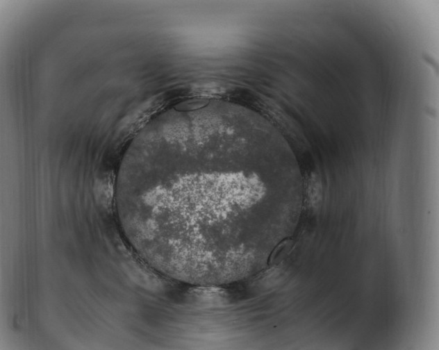 X0000103330427200809121214