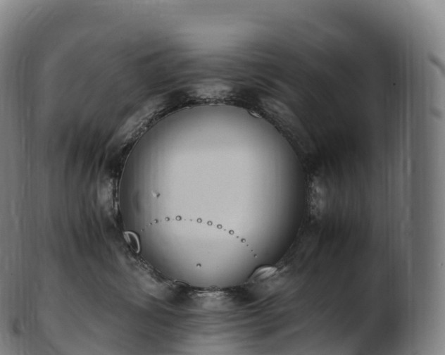 X0000103330428200809121214