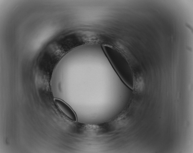 X0000103330429200809121214