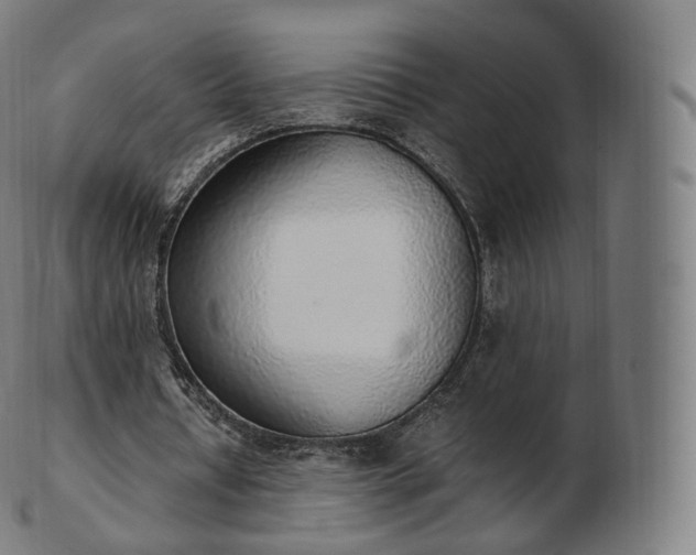 X0000103330434200809121214