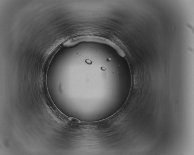 X0000103330436200809121214