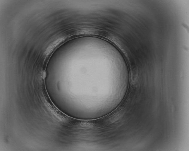 X0000103330437200809121214