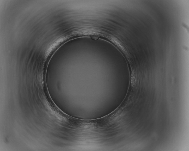 X0000103330438200809121214