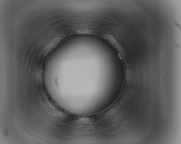 X0000103330441200809121214