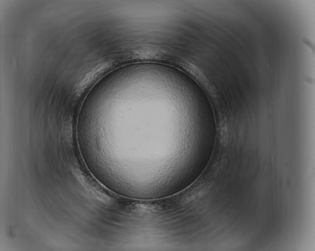 X0000103330442200809121214