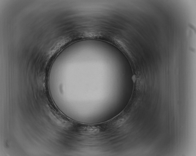 X0000103330443200809121214