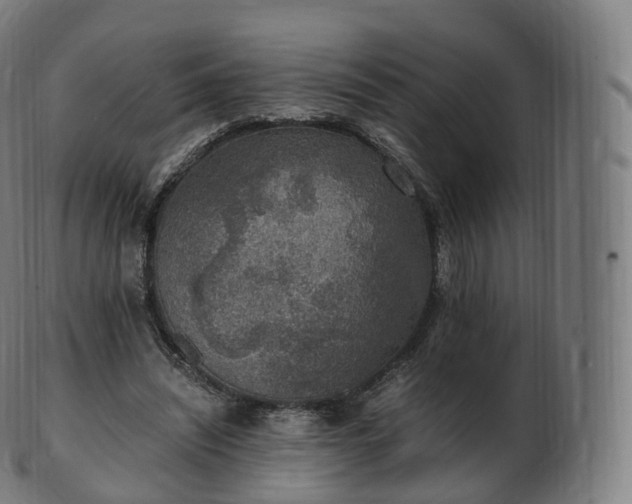 X0000103330444200809121214