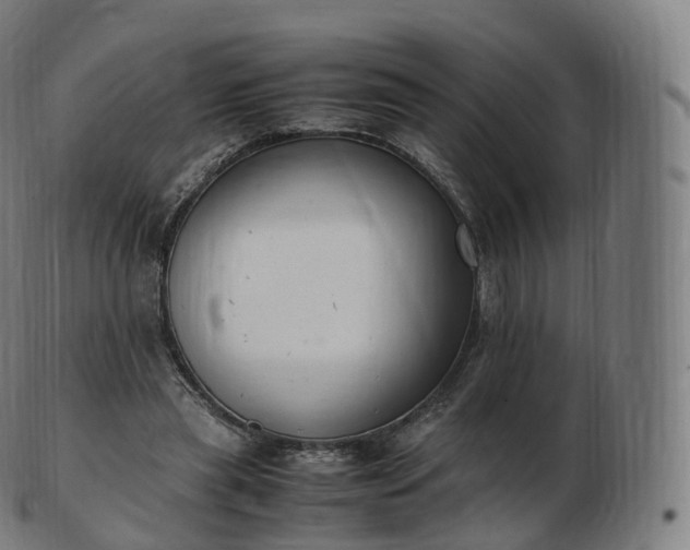 X0000103330445200809121214