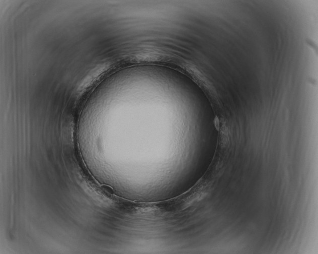 X0000103330446200809121214