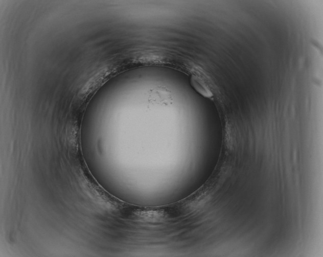 X0000103330449200809121214