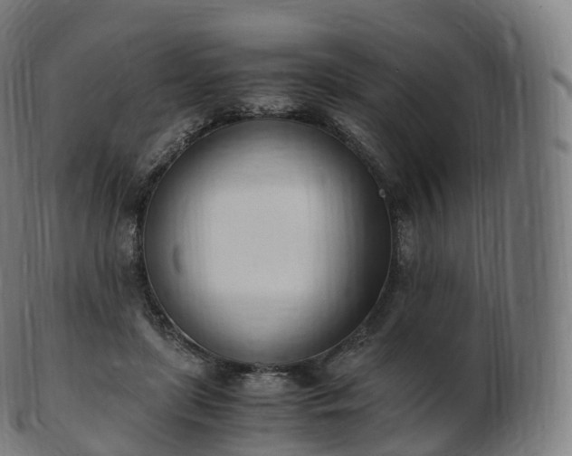 X0000103330451200809121214