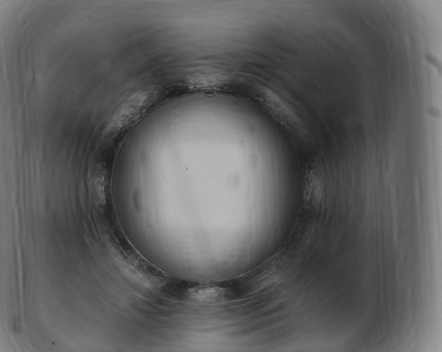 X0000103330452200809121214