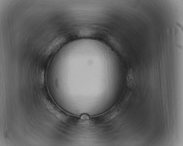 X0000103330454200809121214