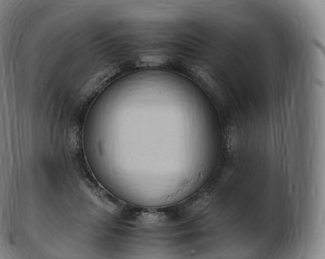 X0000103330455200809121214