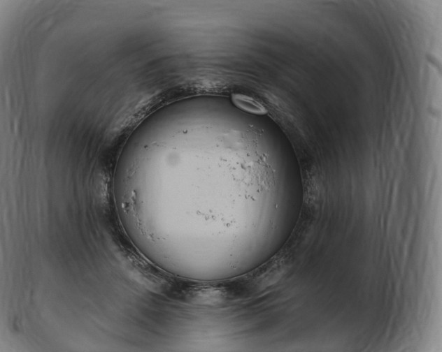 X0000103330456200809121214