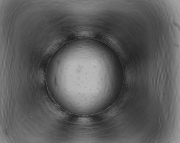 X0000103330457200809121214