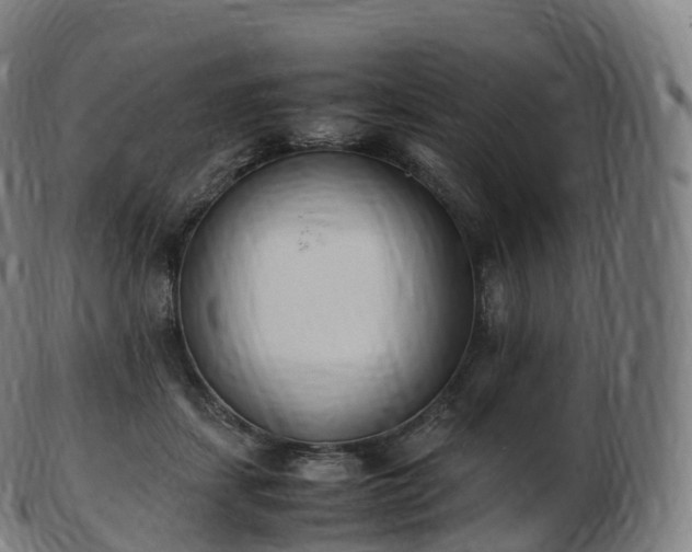 X0000103330459200809121214