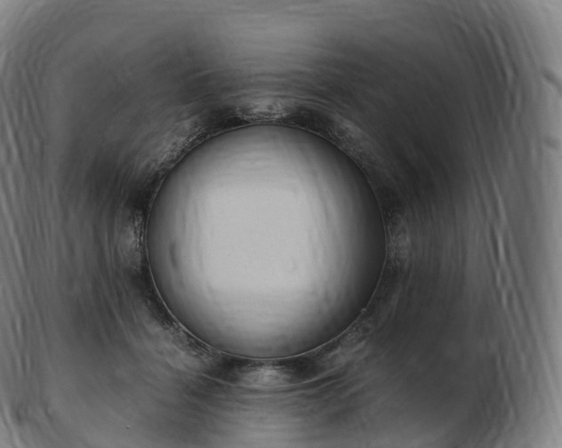 X0000103330460200809121214