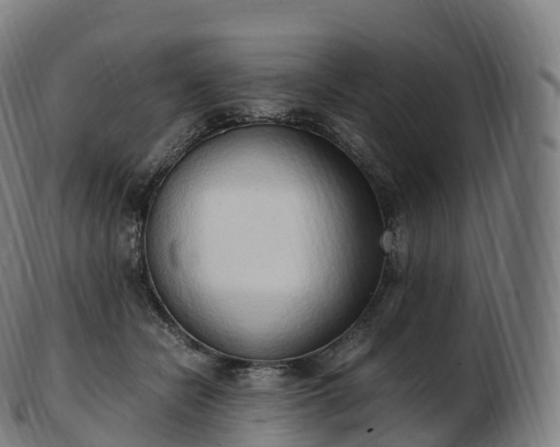 X0000103330462200809121214