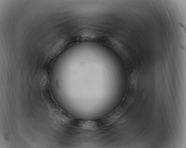 X0000103330463200809121214