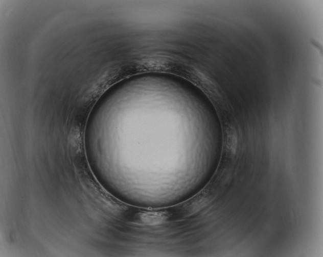 X0000103330465200809121214