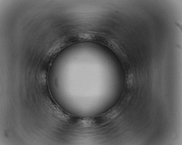 X0000103330466200809121214