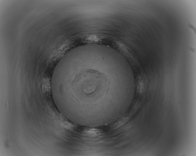 X0000103330467200809121214