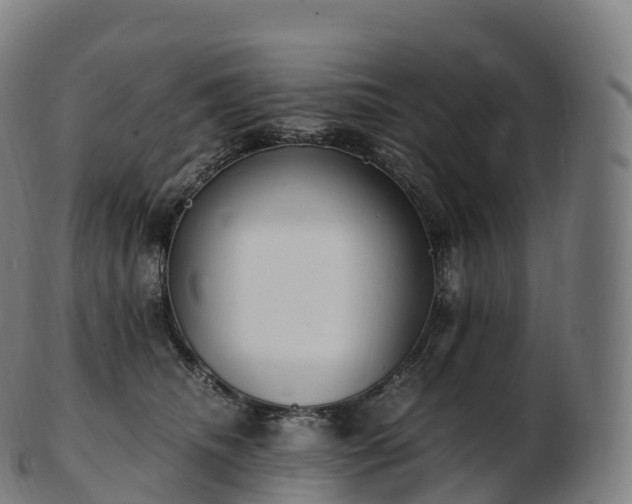 X0000103330468200809121214