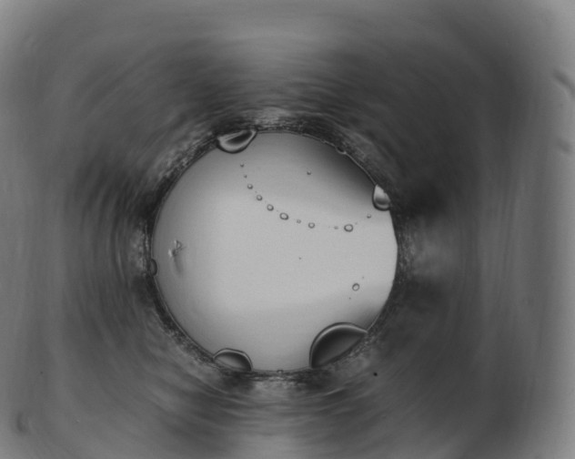 X0000103330470200809121214