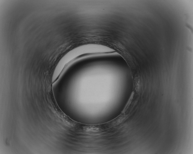 X0000103330471200809121214