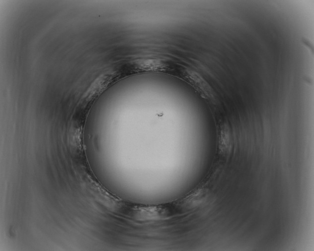 X0000103330473200809121214