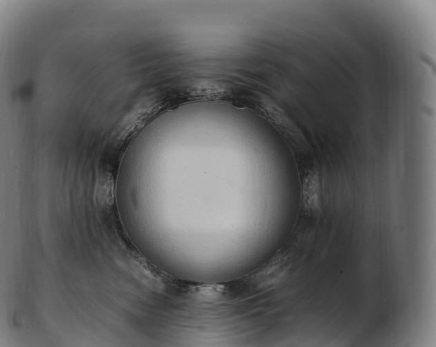 X0000103330474200809121214