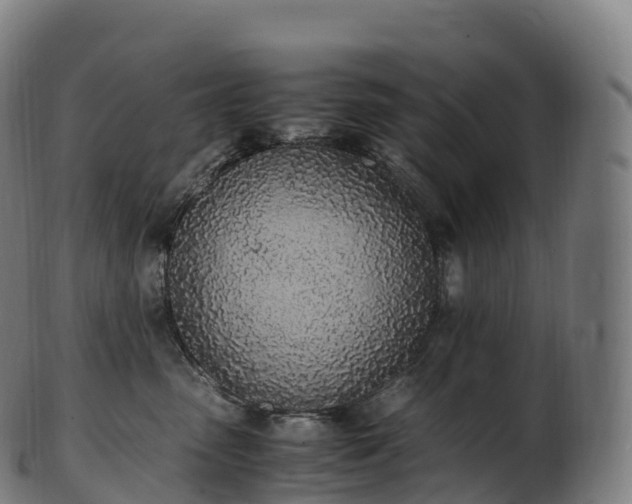 X0000103330475200809121214