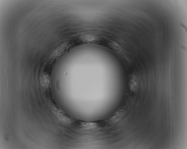 X0000103330476200809121214