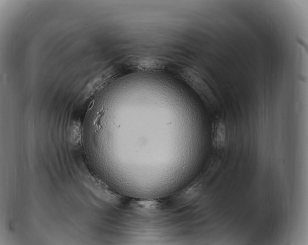 X0000103330478200809121214