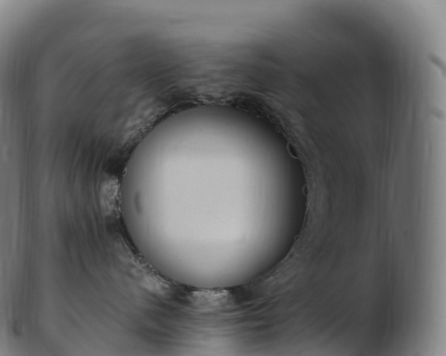 X0000103330480200809121214