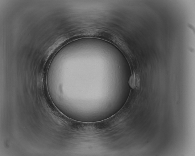 X0000103330483200809121213