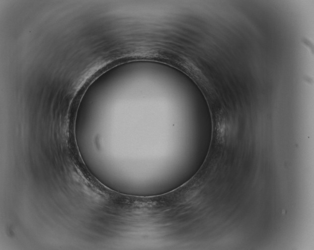 X0000103330484200809121213